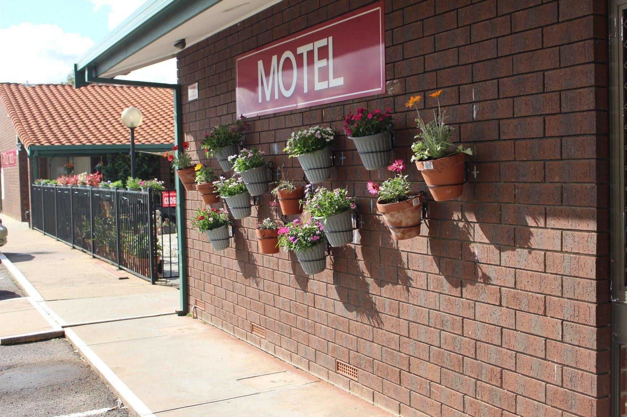 Pavlos Motel Ingle Farm Exteriér fotografie